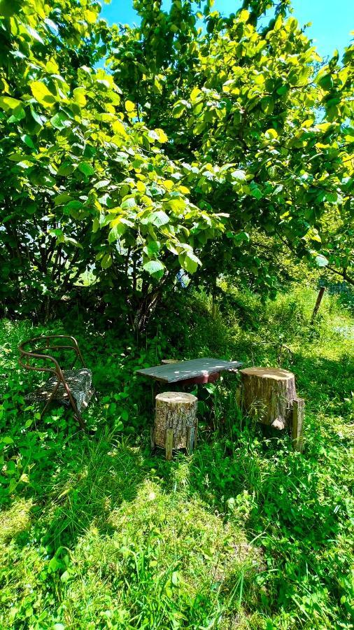 Mountain top get away in breathtaking Dilijan! Buitenkant foto